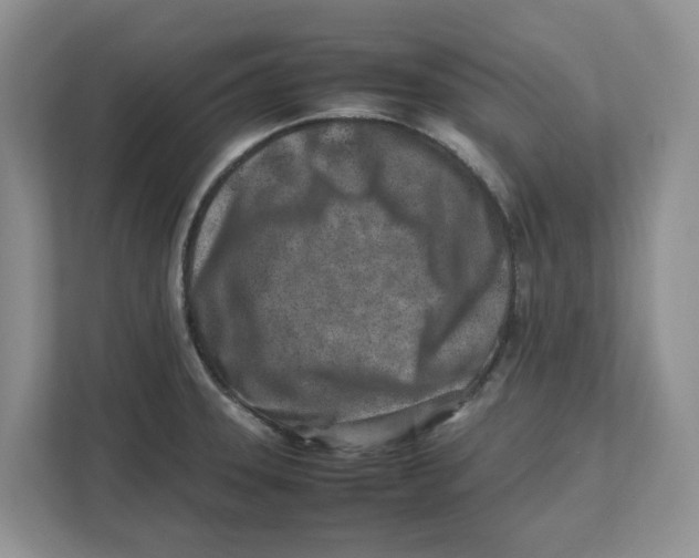 X0000112491331200909141156