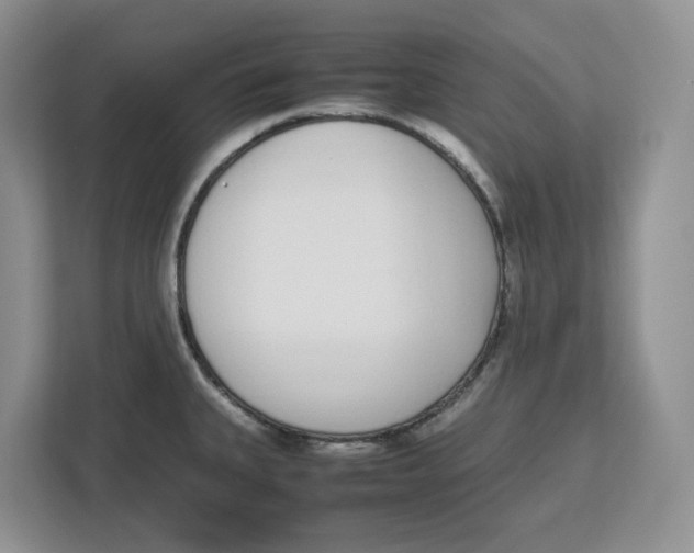 X0000112491335200909141156