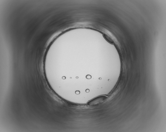 X0000112491336200909141156