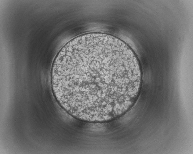 X0000112491338200909141156