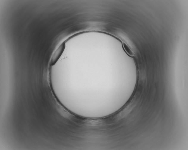 X0000112491340200909141156