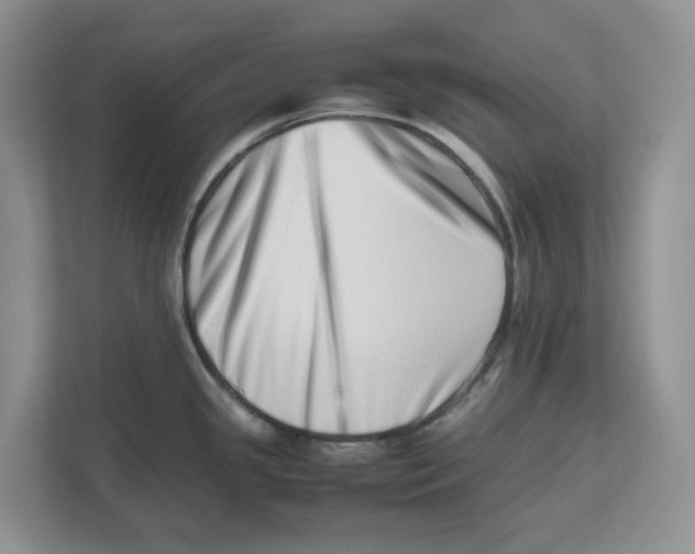 X0000112491341200909141156