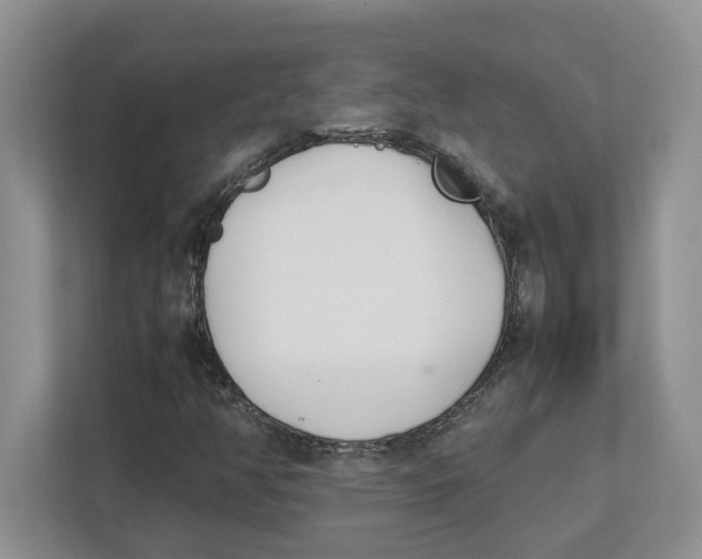 X0000112491350200909141155
