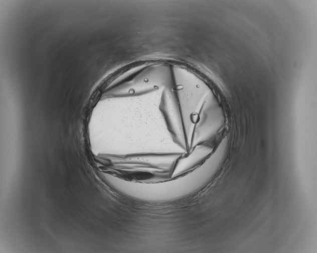 X0000112491356200909141155
