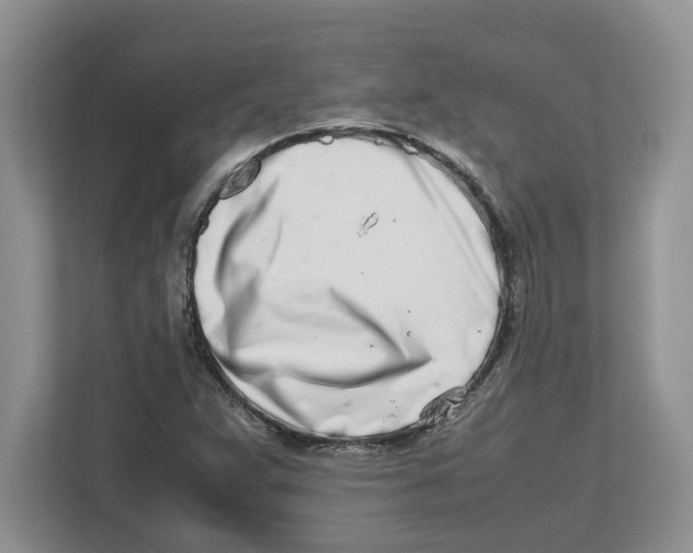 X0000112491359200909141155