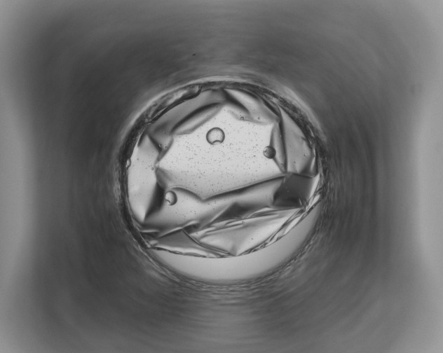 X0000112491360200909141155