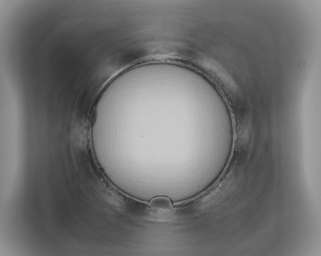 X0000112491361200909141155