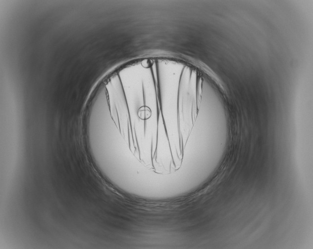 X0000112491364200909141155