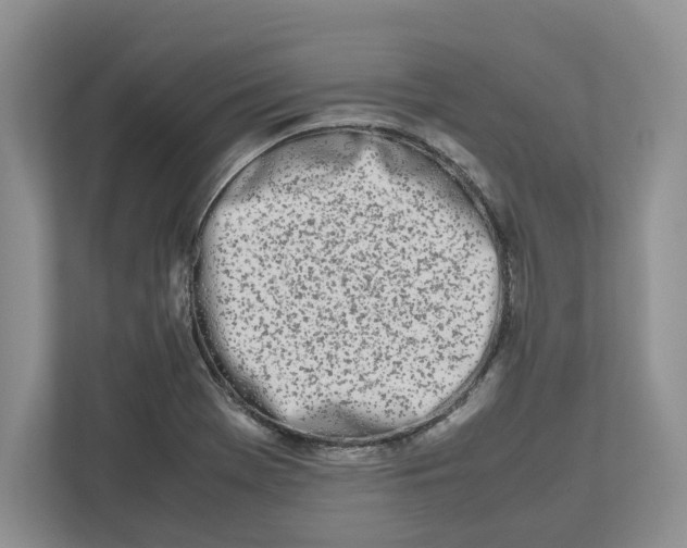 X0000112491369200909141155
