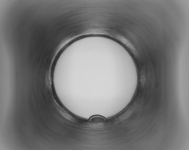 X0000112491372200909141155