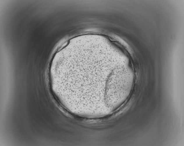 X0000112491373200909141155