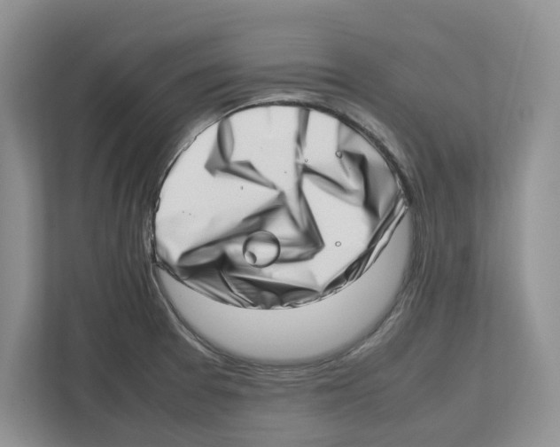 X0000112491377200909141155