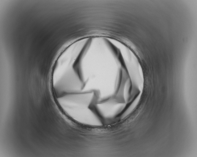 X0000112491379200909141155