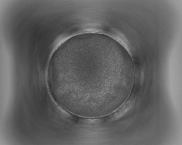X0000112491381200909141155
