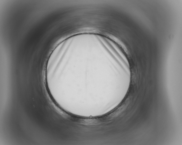 X0000112491383200909141155