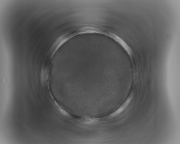 X0000112491385200909141155