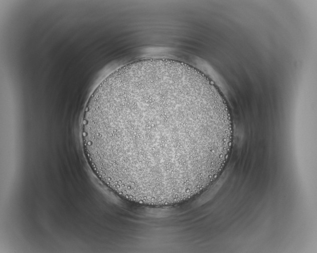 X0000112491386200909141155