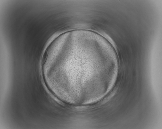 X0000112491389200909141155