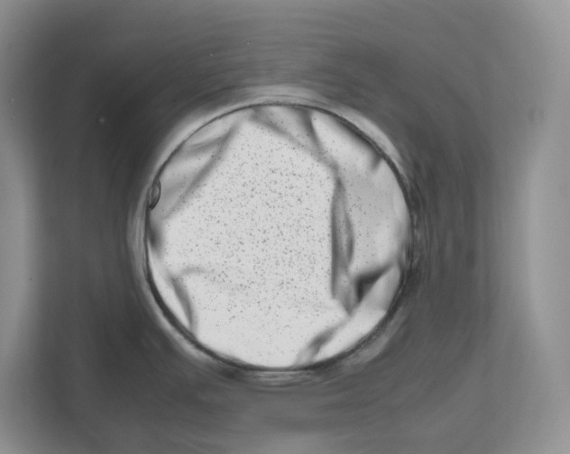 X0000112491391200909141155