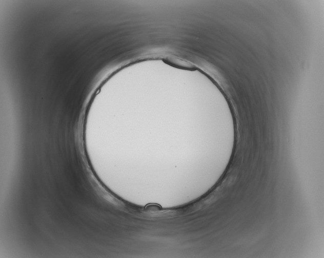 X0000112491392200909141155