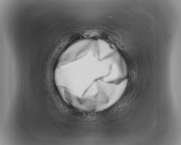 X0000112491393200909141154