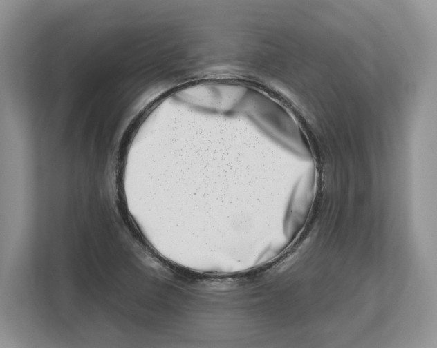 X0000112491410200909141154