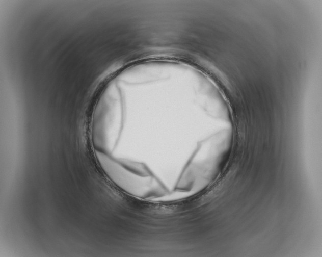 X0000112491411200909141154