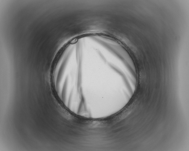 X0000112491412200909141154