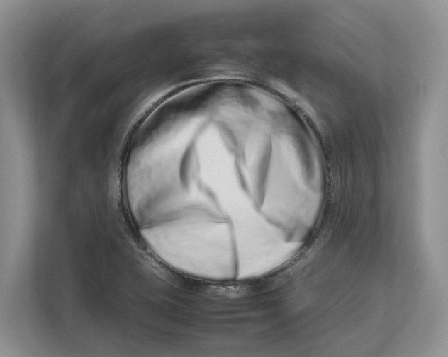X0000112491415200909141154