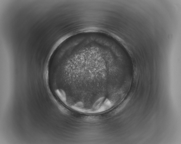 X0000112491418200909141154