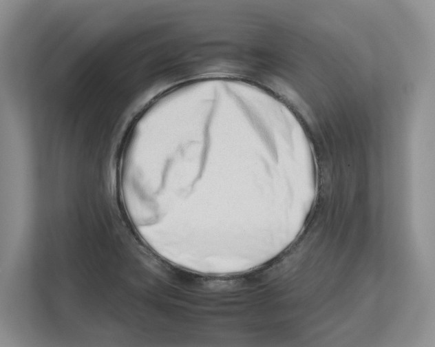 X0000112491419200909141154
