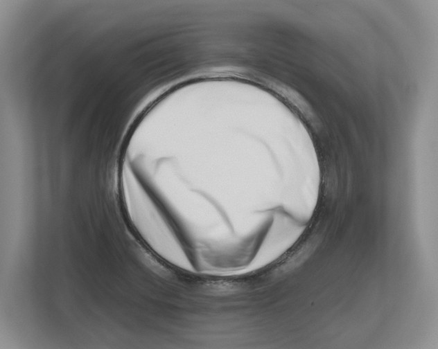 X0000112491420200909141154