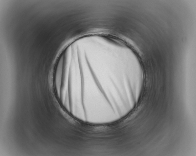 X0000112491421200909141154