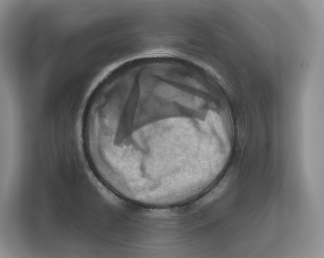 X0000112491422200909141155