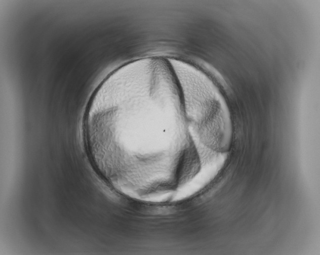 X0000112491423200909141155