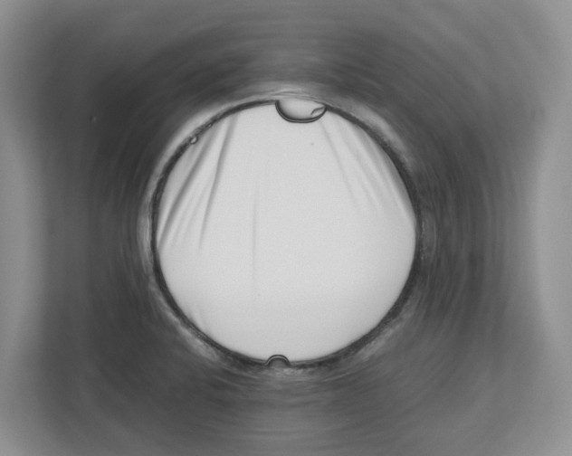 X0000112491424200909141155
