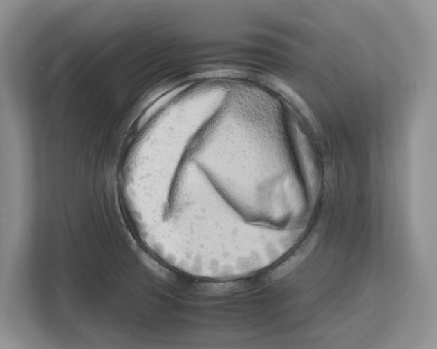 X0000112491425200909141155