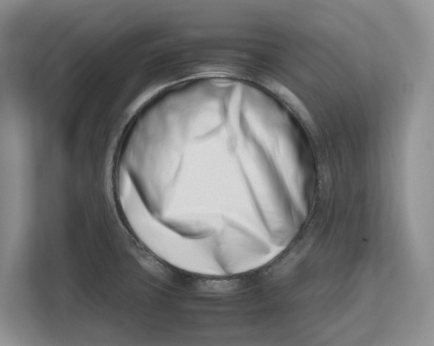 X0000112491427200909141155