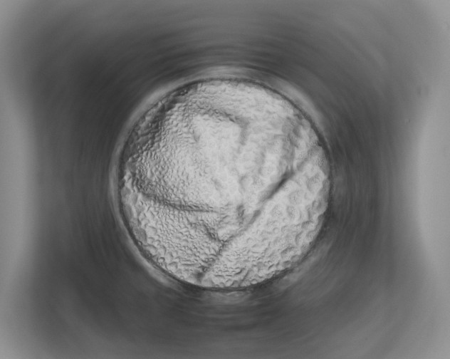 X0000112491429200909141155