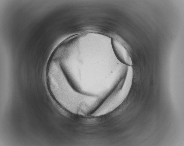 X0000112491431200909141155