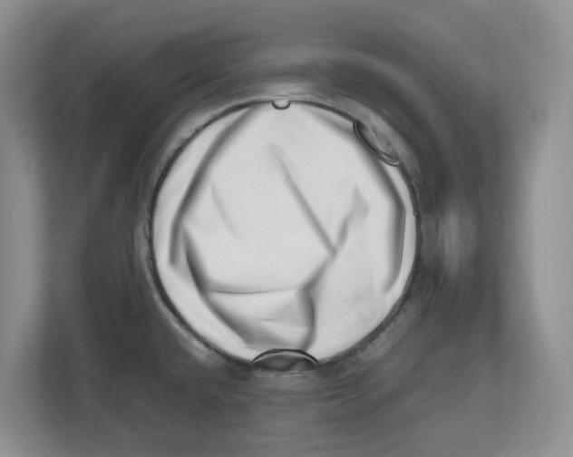 X0000112491432200909141155