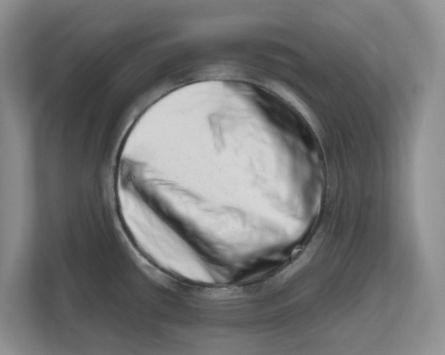 X0000112491434200909141155