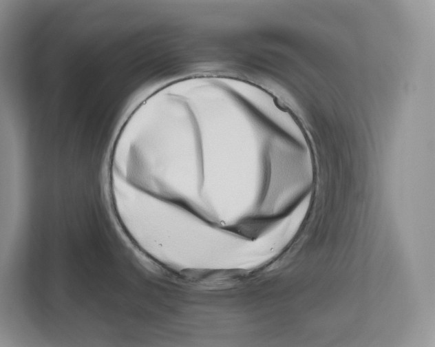 X0000112491440200909141155