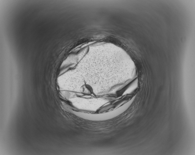 X0000112491441200909141154