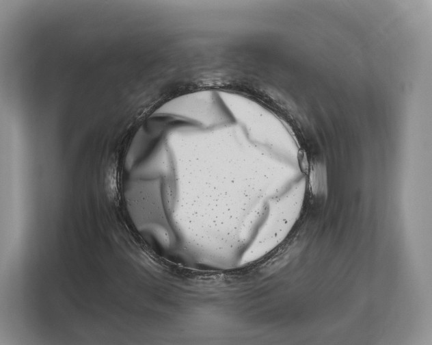 X0000112491444200909141154