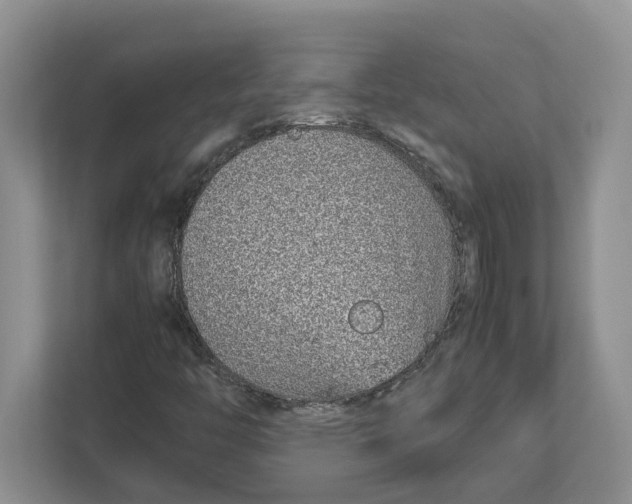 X0000112491446200909141154