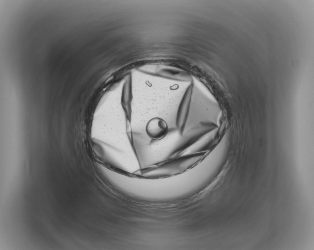 X0000112491449200909141154