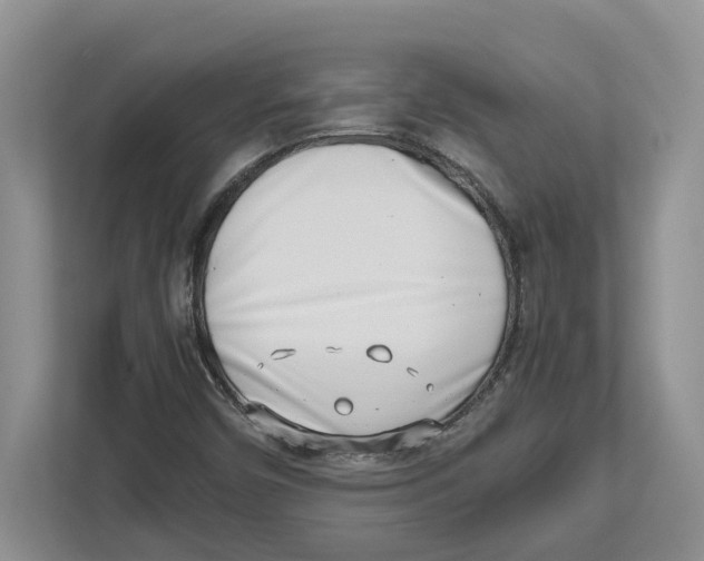 X0000112491450200909141154