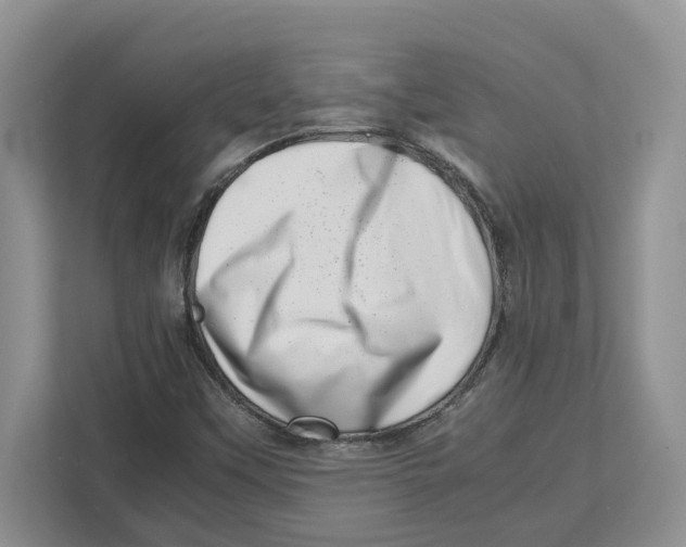 X0000112491451200909141154