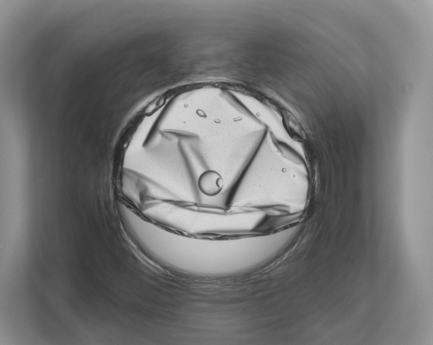 X0000112491452200909141154